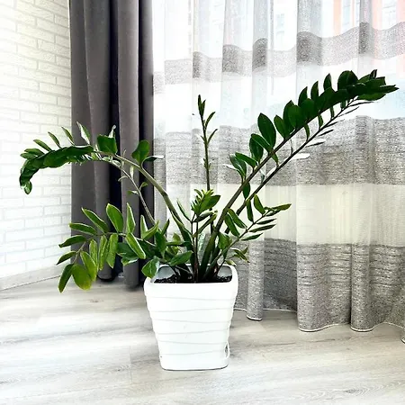 דירה Osapart In A Complex Semycvit 4 *