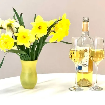 Osapart In A Complex Semycvit 4 * לבוב