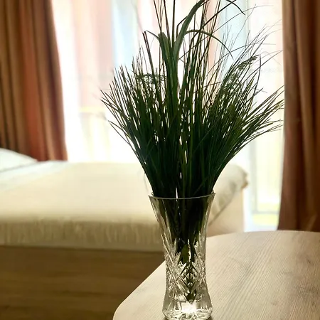 Osapart In A Complex Semycvit 4 דירה