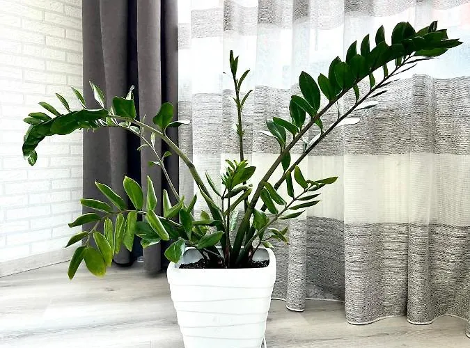 شقة Osapart In A Complex Semycvit 4 *