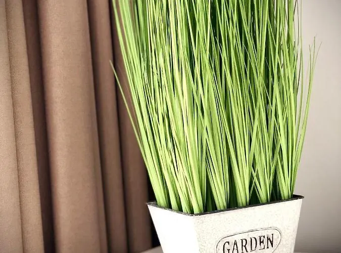 شقة Osapart In A Complex Semycvit 4