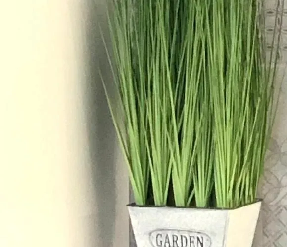 Osapart In A Complex Semycvit 4 *