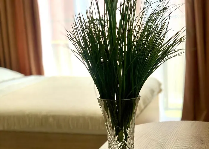 Osapart In A Complex Semycvit 4 شقة